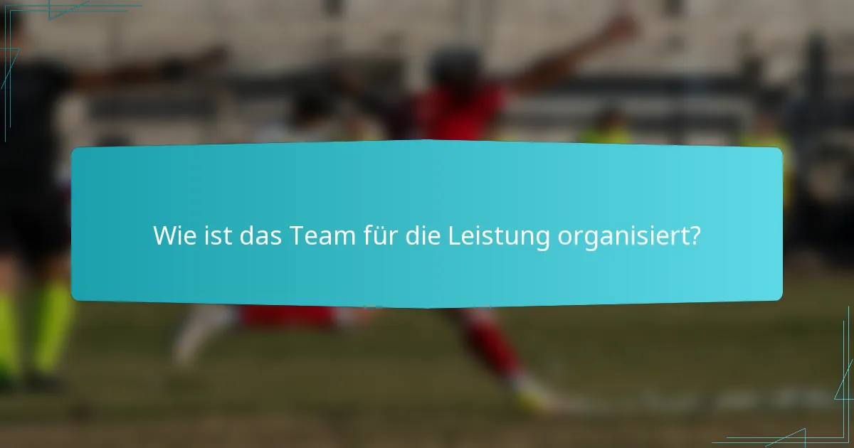 Wie ist das Team für die Leistung organisiert?